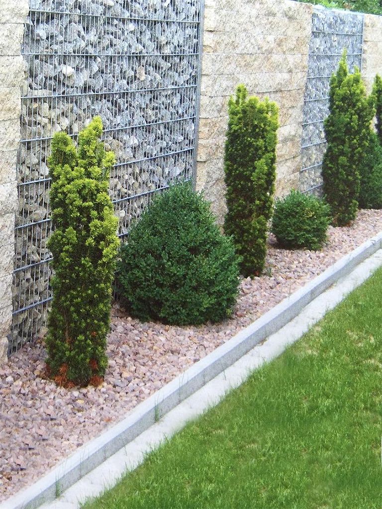 Mauer mit Zaun Gabione und Pflanzenanlage