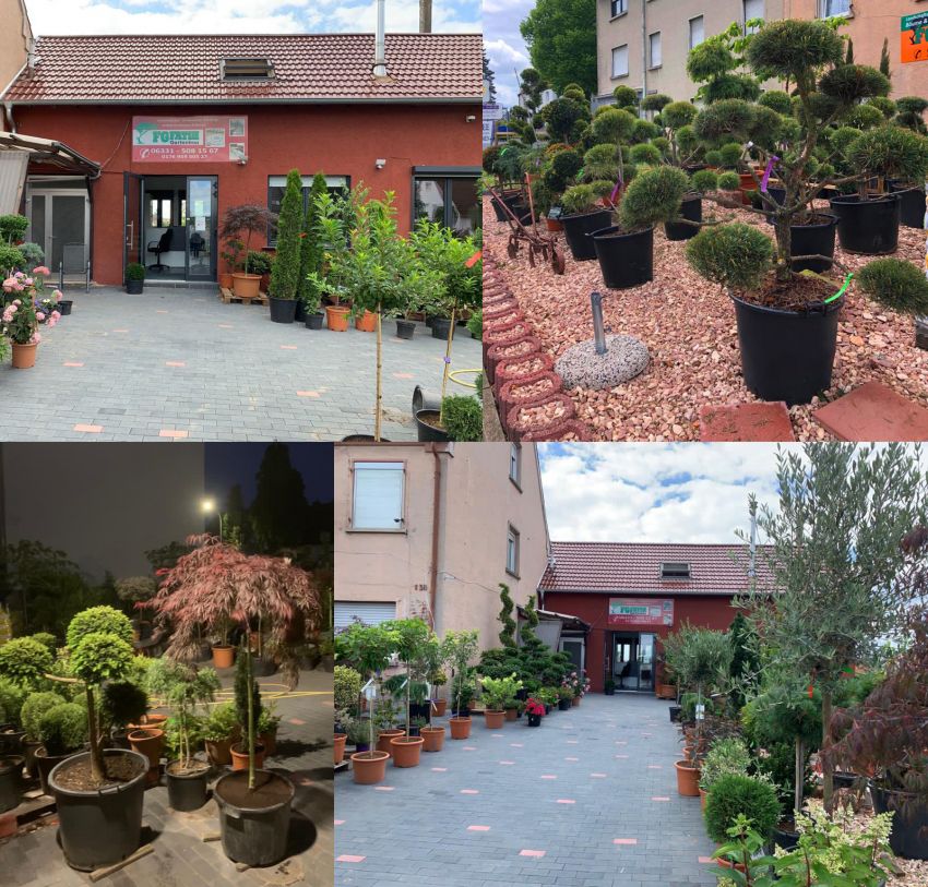 Baum- und Pflanzenverkauf